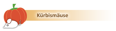 kuerbismaeuse